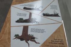 bc childrens hosp tree,joanna`s focus 011